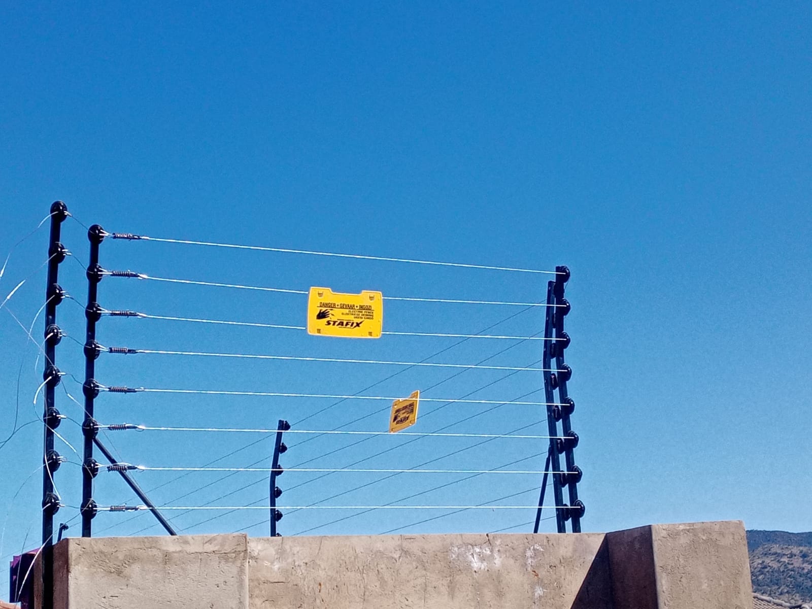 WhatsApp Image 2023-05-07 at 08.31.21